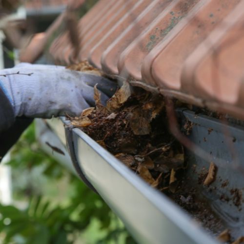 Gutter Cleaning in St Charles, MO